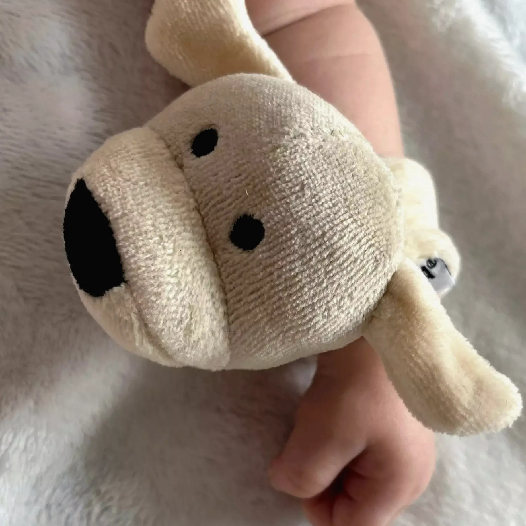 Handledsskallra beige Doddi